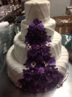 /album/fotogaleria/flores-violetas-jpg/